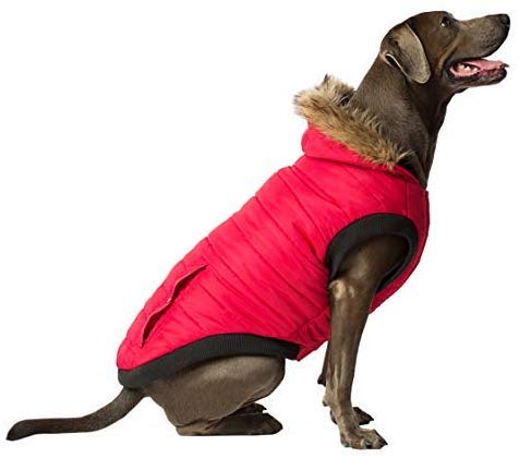 Canada Pooch Pôle Nord Parka pour chien, rouge