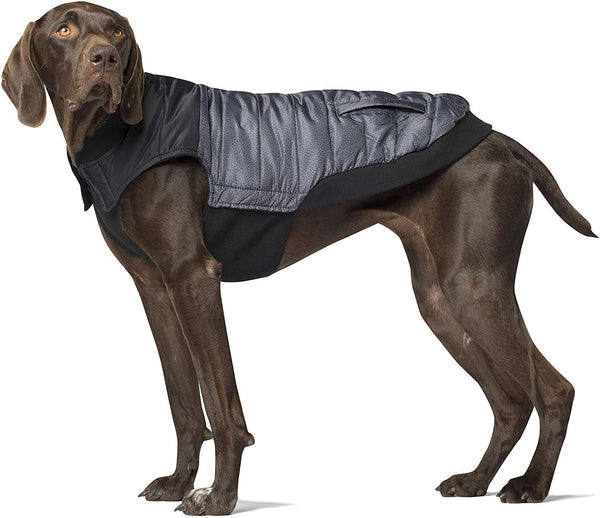 Canada Pooch Summit Stretch Dog Vest, Grey Pepper