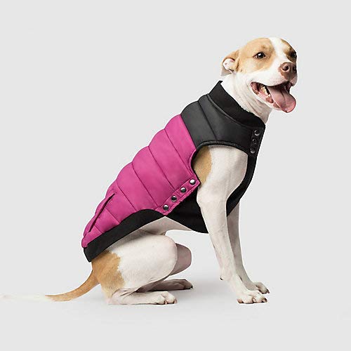 Canada Pooch Summit Stretch Dog Vest, Plum
