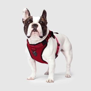 Canada Pooch The Everything Mesh Dog Harness, Red