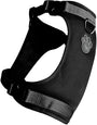 Canada Pooch The Everything Mesh Dog Harness, Black