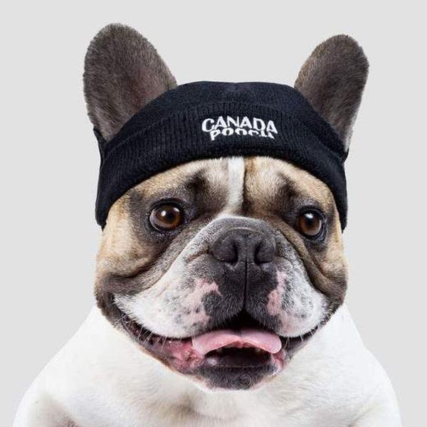 Canada Pooch Basic Dog Beanie, Black