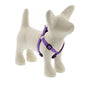 Lupine Pet Harnais original Step In pour chien, Jelly Roll