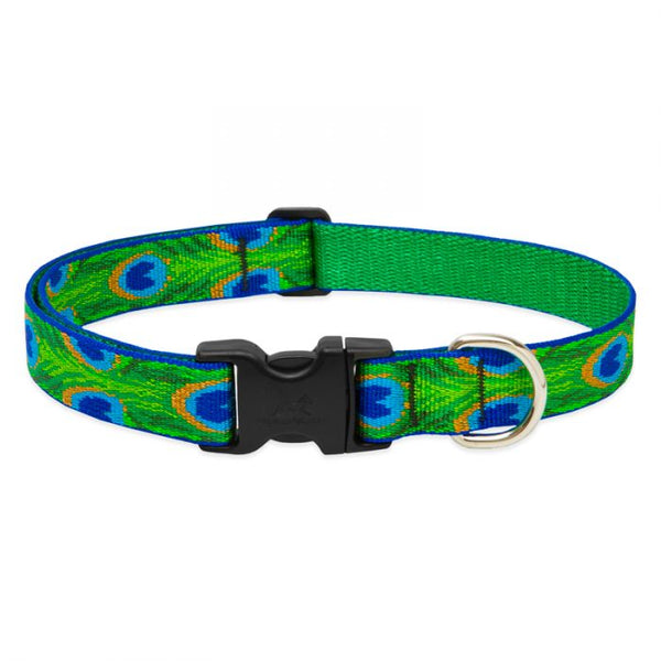 Lupine Pet Original Designs Adjustable Dog Collar, Tail Feathers