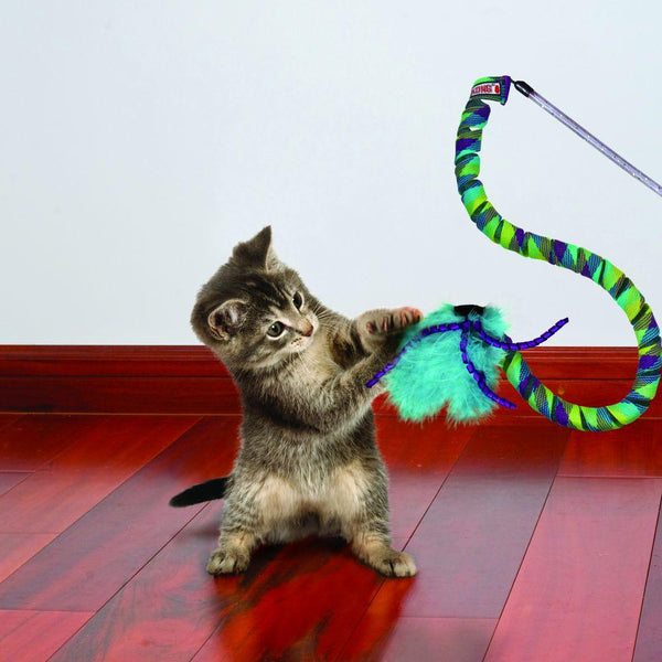 KONG Teaser Curlz Cat Toy