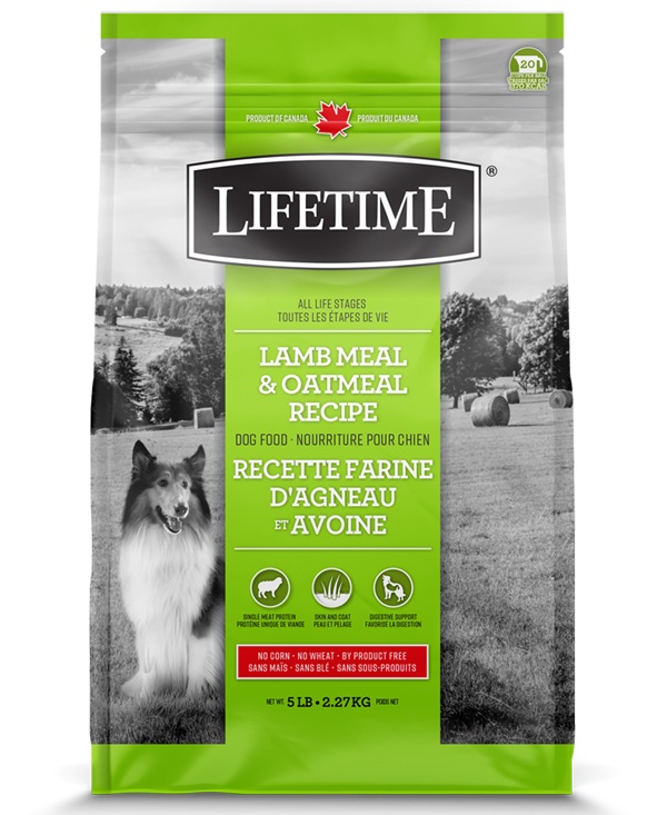 Lifetime Lamb Meal & Oatmeal Recipe Dry Dog Food