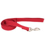 New Earth Soy Dog Leash, Cranberry