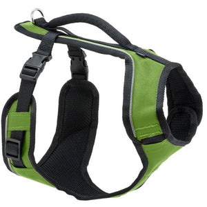 PetSafe EasySport Dog Harness, Apple