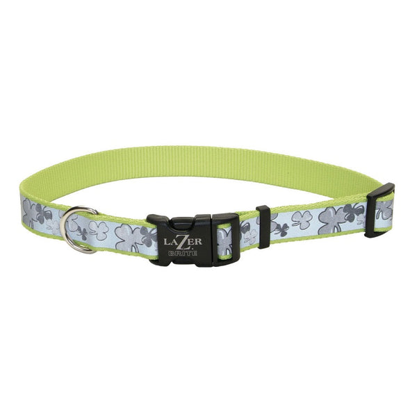 Lazer Brite Reflective Adjustable Dog Collar, Shamrocks