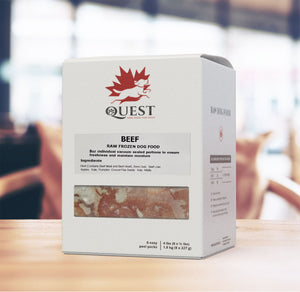 Quest Nourriture crue congelée au bœuf pour chiens