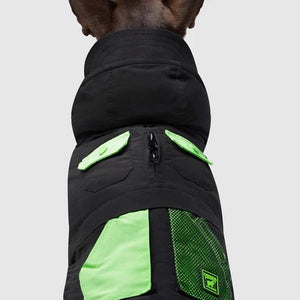 Canada Pooch ReNew Dog Jacket