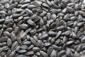CountryMax Black Oil SunFlower Seed Wild Bird Food