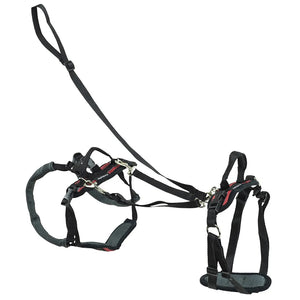 PetSafe CareLift Full Front & Back Lifting Aid Mobility Dog Harness