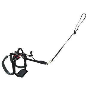 PetSafe CareLift Rear Portion Lifting Aid Mobility Dog Harness