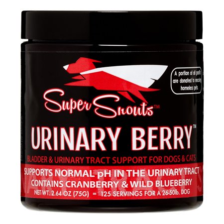 Super Snouts Urinary Berry Urinary Tract Support Dog & Cat Supplement, 75-grams