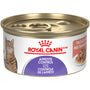 Royal Canin Feline Care Nutrition Appetite Control Care Tranches fines en sauce Nourriture humide pour chats