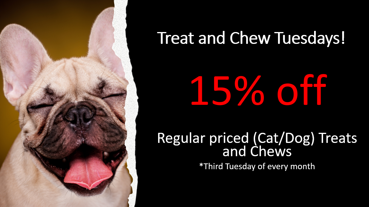Treat and Chew Tuesday