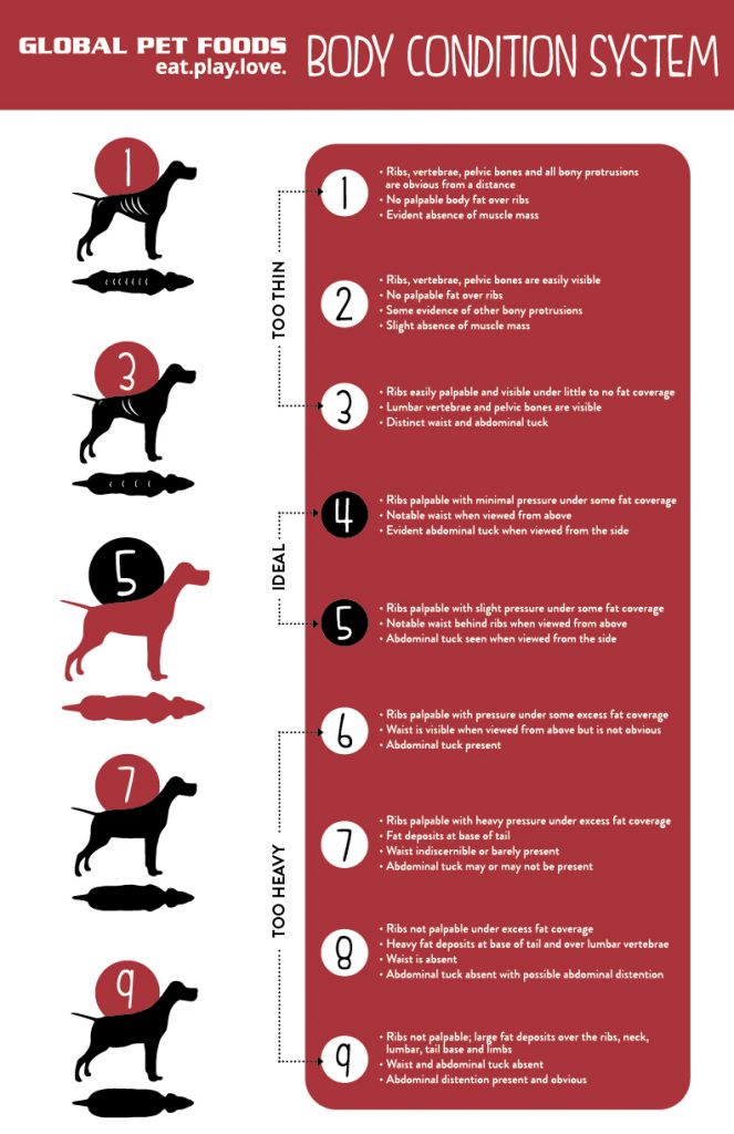 what food is high in calcium for dogs