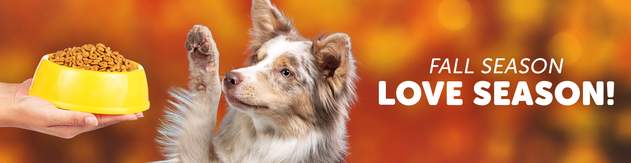 Global Pet Foods » Make them fallready with Global Pet Foods!