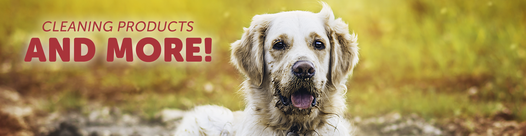 Global Pet Foods » Make them fallready with Global Pet Foods!