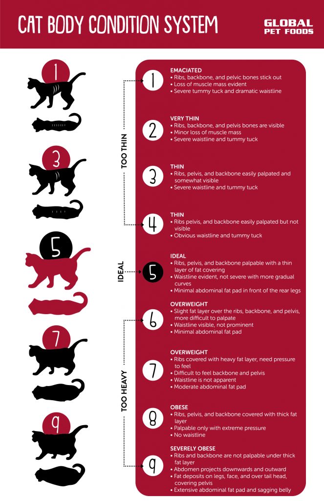 Pet Body Condition Scoring — Association for Pet Obesity Prevention