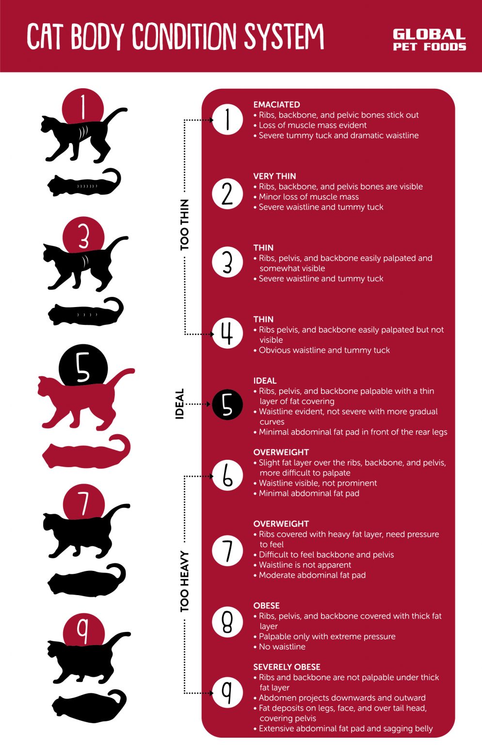 Global Pet Foods » The Importance of Body Condition Scoring