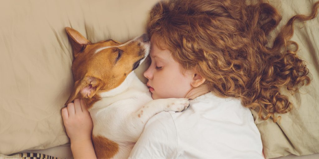 The Pet Effect: How Our Beloved Pets Make Life Better